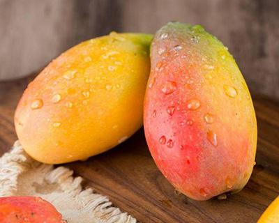 芒果加工榴莲视频APP下载黄